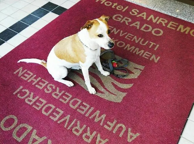 Szálloda Sanremo Grado